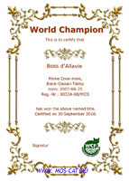 Сертификат WCF - увеличить