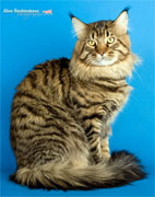 фото Botzman Champs-Elysees - увеличить