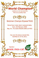 Сертификат WCF - увеличить