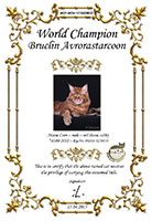 Сертификат WCF - увеличить