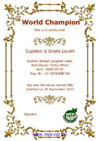 Сертификат WCF - увеличить