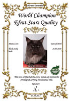 Сертификат WCF - увеличить