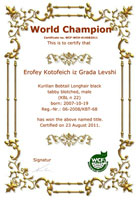 Сертификат WCF - увеличить