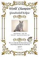 Сертификат WCF - увеличить