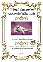 Сертификат WCF - увеличить