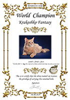 Сертификат WCF - увеличить