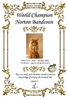 Сертификат WCF - увеличить