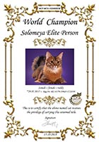 Сертификат WCF - увеличить