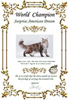 Сертификат WCF - увеличить