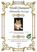 Сертификат WCF - увеличить