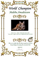 Сертификат WCF - увеличить