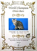 Сертификат WCF - увеличить