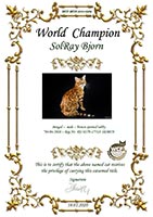 Сертификат WCF - увеличить