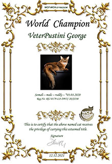 Сертификат WCF - увеличить