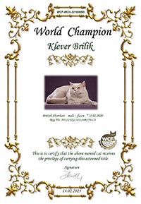 Сертификат WCF - увеличить