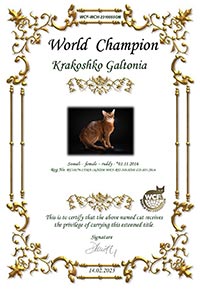 Сертификат WCF - увеличить