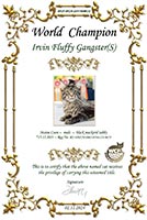 Сертификат WCF - увеличить