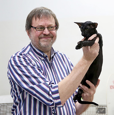 �������� ������, ��������� (WCF, ��)