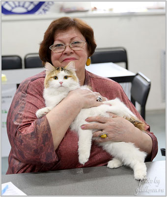 �������� �������, (WCF, ��), ������� 