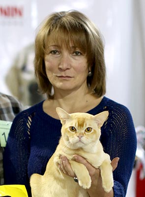 ������ ������� (WCF, AB),  ������