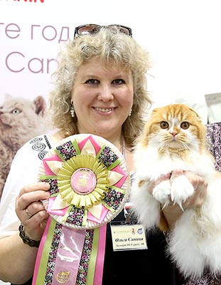 ����� ������ (WCF-guest, ��)