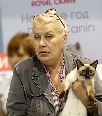 ������� �������� (WCF, AB),  ������