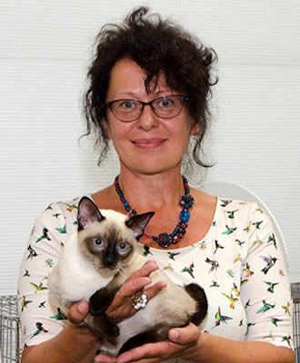 ������� ����� (WCF, AB), ������