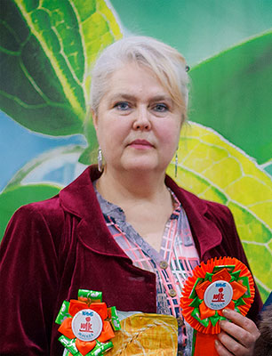 ����� ������� (WCF, ��)