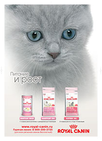 ���� �������� ROYAL CANIN