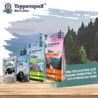 ���������� - ����� � ������� ����� ����� ������� ������ ��� ����� � �����