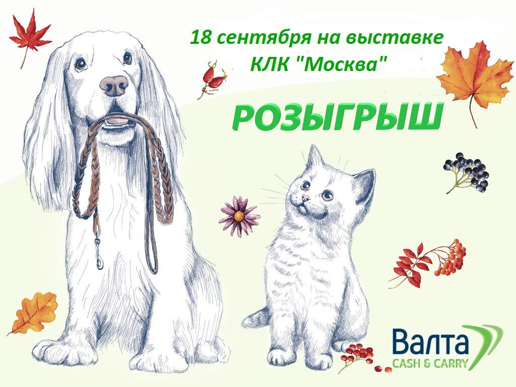 ����� ��� �������� - ���������������� ����� ��� ����� � �����