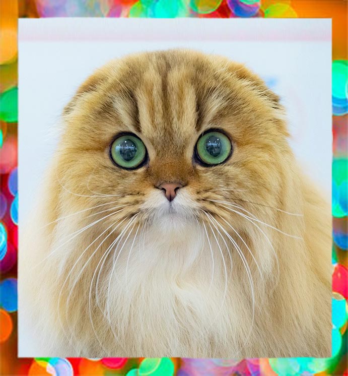 �������� ���������� � �������� ����� 13-14 ������ 2024�