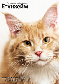 �������� �������� (Jotunheim)