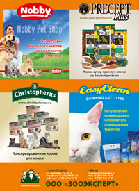 ��������� ���� - ������� ��������� �������� ����������