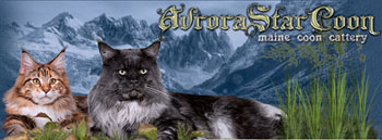 ��������  ����-����� Avrorastarcoon