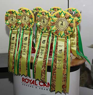 �������� ����� '�������&nbsp;���-�����' 31 ������� - 1 �������� 2013 �._4472