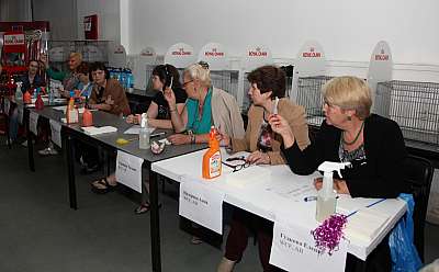 �������� ����� '�������&nbsp;���-�����' 31 ������� - 1 �������� 2013 �._5189