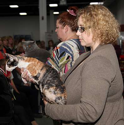 �������� ����� '�������&nbsp;���-�����' 31 ������� - 1 �������� 2013 �._5190