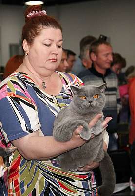 �������� ����� '�������&nbsp;���-�����' 31 ������� - 1 �������� 2013 �._5194