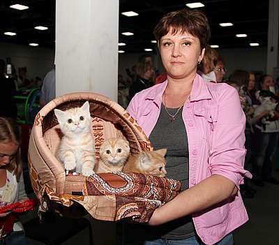 �������� ����� '�������&nbsp;���-�����' 31 ������� - 1 �������� 2013 �._5207