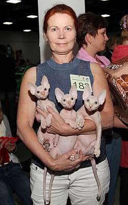 �������� ����� '�������&nbsp;���-�����' 31 ������� - 1 �������� 2013 �._5209