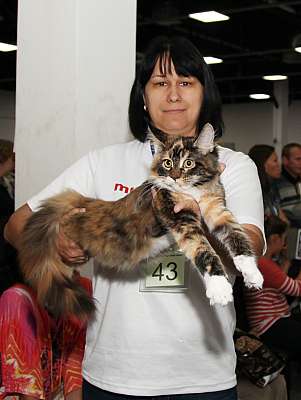 �������� ����� '�������&nbsp;���-�����' 31 ������� - 1 �������� 2013 �._5228