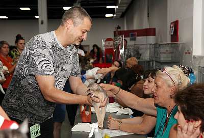 �������� ����� '�������&nbsp;���-�����' 31 ������� - 1 �������� 2013 �._5234