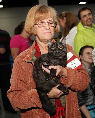 �������� ����� '�������&nbsp;���-�����' 31 ������� - 1 �������� 2013 �._5235