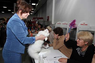 �������� ����� '�������&nbsp;���-�����' 31 ������� - 1 �������� 2013 �._5237