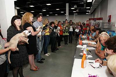 �������� ����� '�������&nbsp;���-�����' 31 ������� - 1 �������� 2013 �._5240