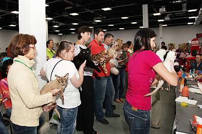 �������� ����� '�������&nbsp;���-�����' 31 ������� - 1 �������� 2013 �._5248