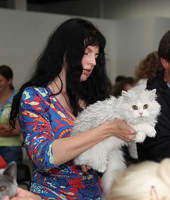 �������� ����� '�������&nbsp;���-�����' 31 ������� - 1 �������� 2013 �._6477