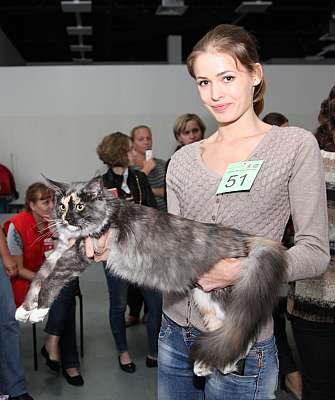 �������� ����� '�������&nbsp;���-�����' 31 ������� - 1 �������� 2013 �._6480