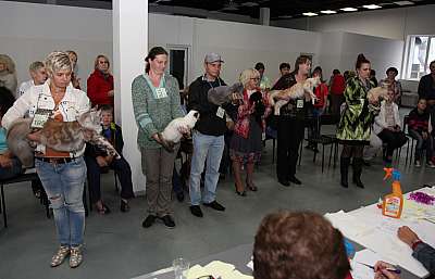 �������� ����� '�������&nbsp;���-�����' 31 ������� - 1 �������� 2013 �._6504